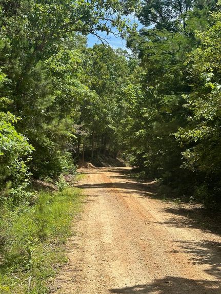 Land for sale in Lamar County, Alabama