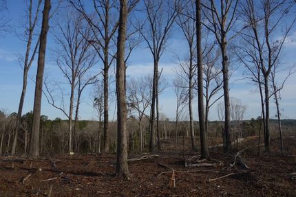 Undeveloped Land in Fairfield County, South Carolina