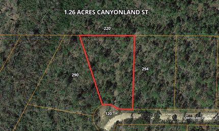Homesite in Jackson County, Florida