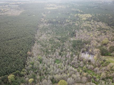 Farm and Ranch in Union Parish, Louisiana