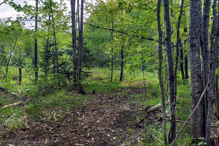 Land in Forest County, Wisconsin