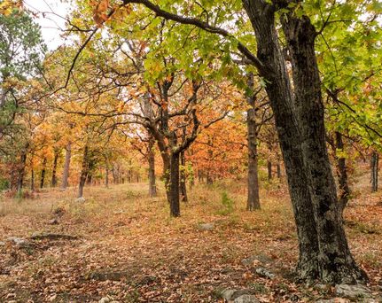 Undeveloped Land for sale in Fulton County, Arkansas