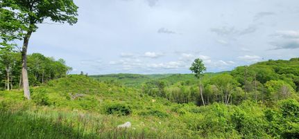 Farm and Ranch for sale in Nicholas County, West Virginia