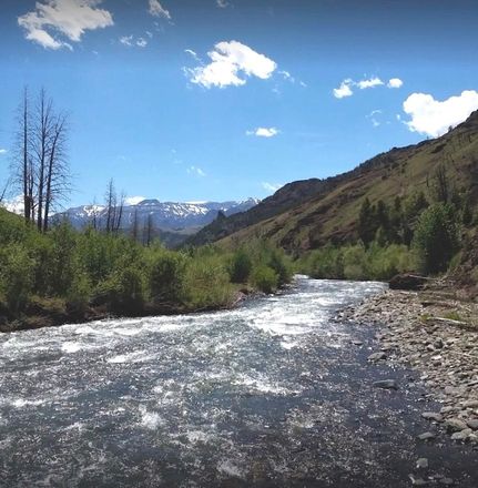 Timberland Property in Park County, Wyoming