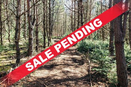 Farm and Ranch in Langlade County, Wisconsin