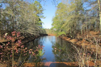 Farm and Ranch in Darlington County, South Carolina