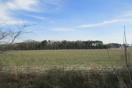 Land in Lee County, South Carolina