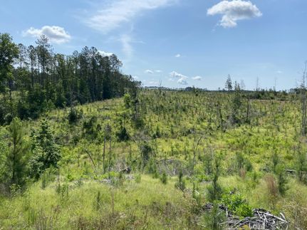 Land in Fairfield County, South Carolina