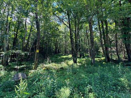 Undeveloped Land in Wayne County, Pennsylvania