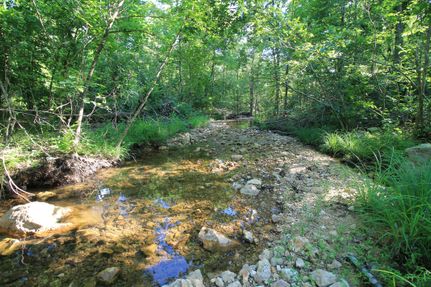 Undeveloped Land in Madison County, Missouri