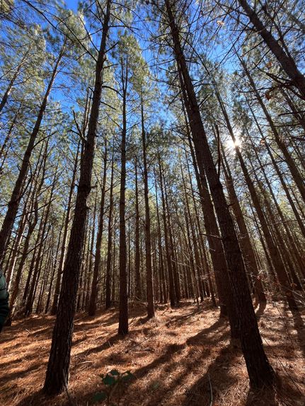 Undeveloped Land in Goochland County, Virginia