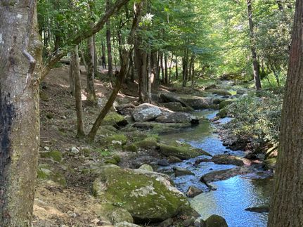 Undeveloped Land in Henderson County, North Carolina