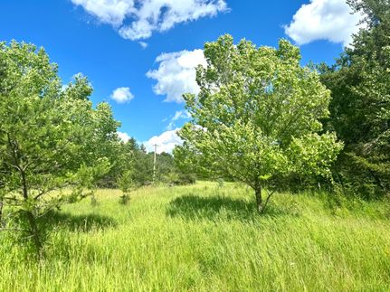 Timberland Property in Cass County, Minnesota