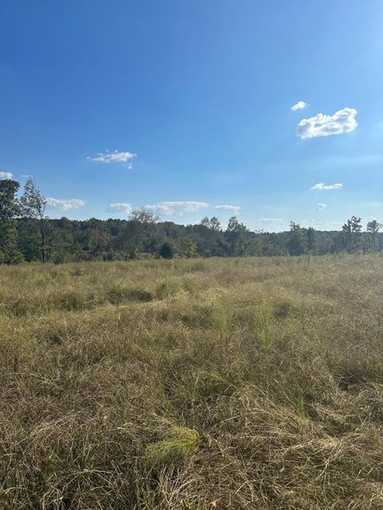 Recreational Property in Limestone County, Alabama