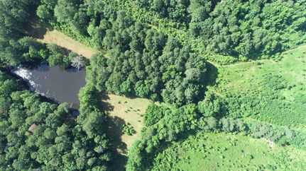 Farm and Ranch for sale in Blount County, Alabama