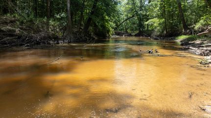 Land in Newton County, Texas