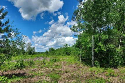 Recreational Property in Oneida County, Wisconsin