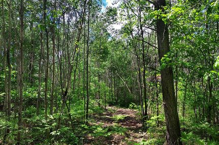 Timberland Property in Oneida County, Wisconsin