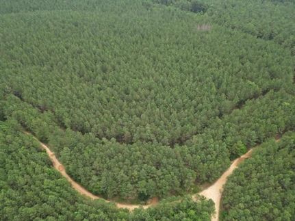 Undeveloped Land in Lewis County, Tennessee