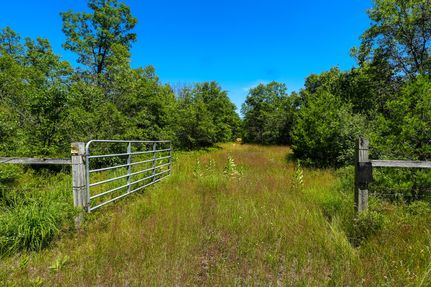 Timberland Property in Newaygo County, Michigan