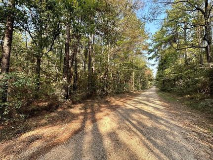 Undeveloped Land in Saint Helena Parish, Louisiana