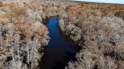 Riverfront Property in Calhoun County, Florida