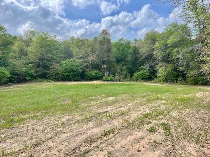 Recreational Property for sale in Macon County, Georgia