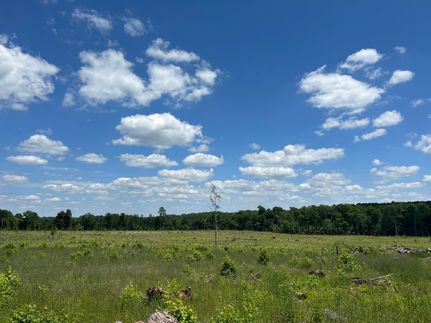 Timberland Property in Greenwood County, South Carolina