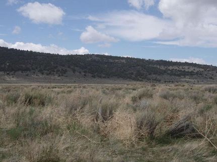 Riverfront Property in Lake County, Oregon