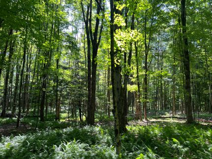 Timberland Property for sale in Oneida County, New York