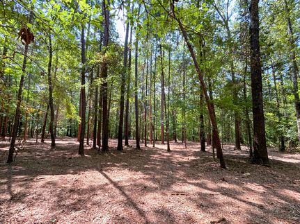 Land in Marion County, Texas