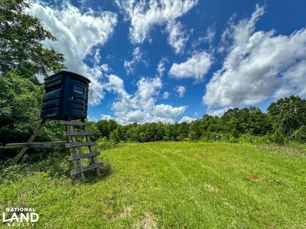 Farm and Ranch in Conecuh County, Alabama