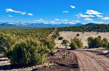 Undeveloped Land in Apache County, Arizona