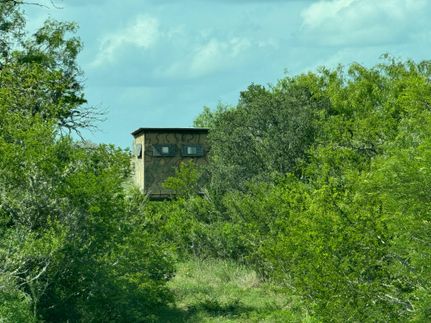 Farm and Ranch in Duval County, Texas