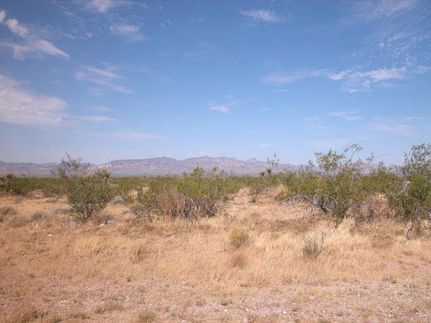 Riverfront Property in Mohave County, Arizona
