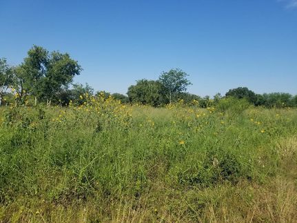 Undeveloped Land for sale in Bee County, Texas