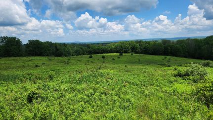 Farm and Ranch in Chenango County, New York