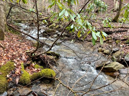 Undeveloped Land in Somerset County, Pennsylvania