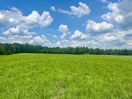 Timberland Property in Franklin County, Mississippi