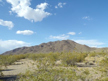 Timberland Property in Mohave County, Arizona
