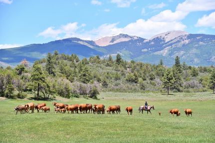 Land in La Plata County, Colorado