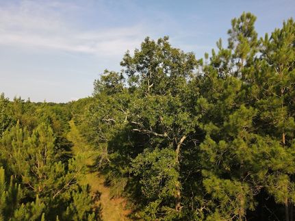 Recreational Property in Ashley County, Arkansas