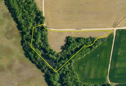 Farm and Ranch in Dillon County, South Carolina