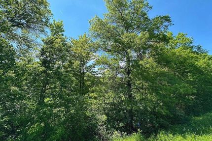 Undeveloped Land in Mille Lacs County, Minnesota