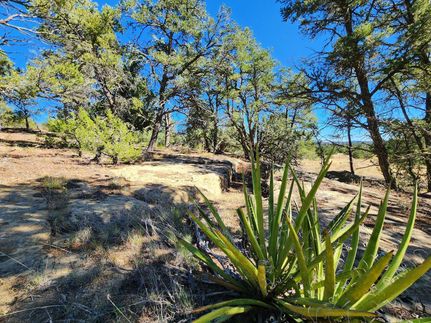Farm and Ranch for sale in Cibola County, New Mexico