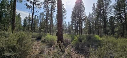 Undeveloped Land in Klamath County, Oregon