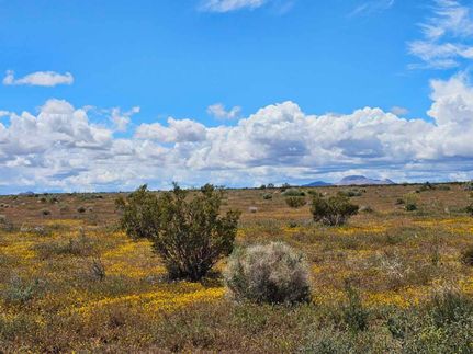 Undeveloped Land in Kern County, California