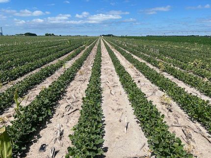 Farm and Ranch in Dawson County, Nebraska