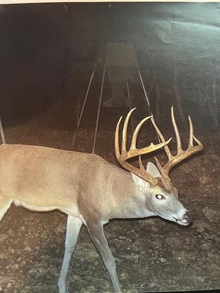 Land for sale in Edwards County, Texas