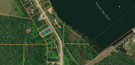 Undeveloped Land in Alpena County, Michigan